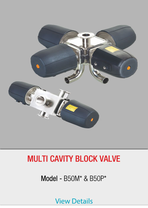 Twin-cavity-block-valve